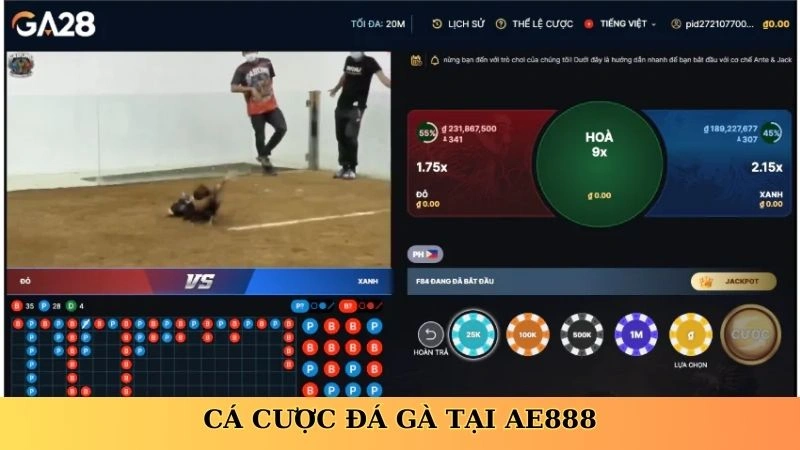 Cá cược đá gà tại AE888