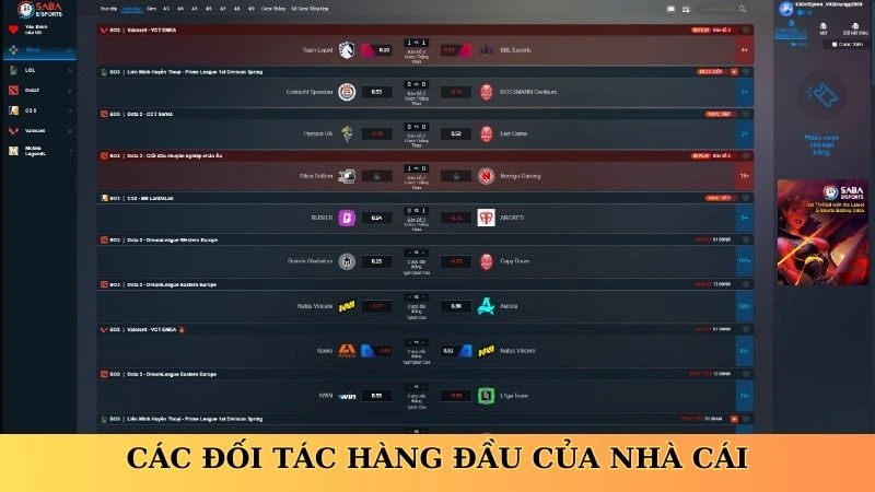 Các đối tác hàng đầu của nhà cái