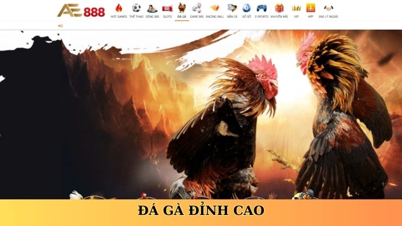 da-ga-dinh-cao