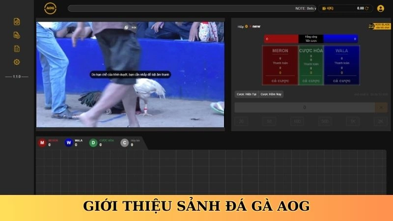 Giới thiệu sảnh đá gà AOG