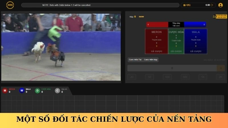 mot-so-doi-tac-chien-luoc-cua-nen-tang