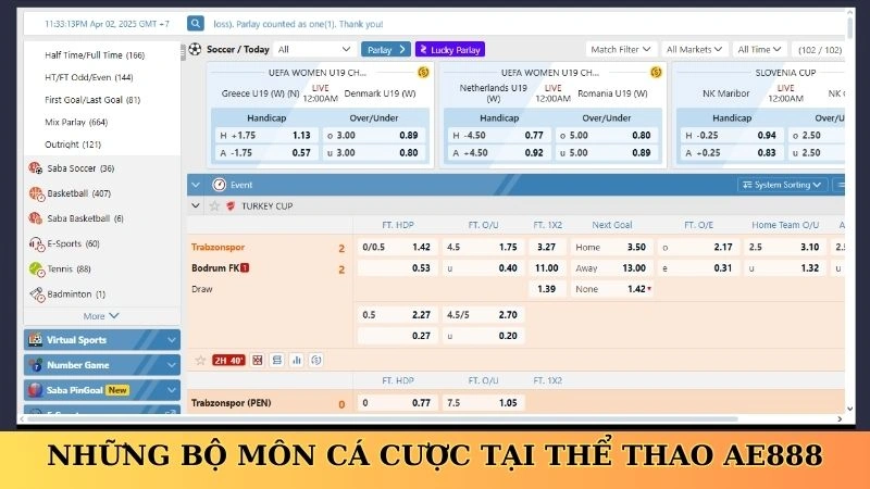 Những bộ môn cá cược tại thể thao AE888