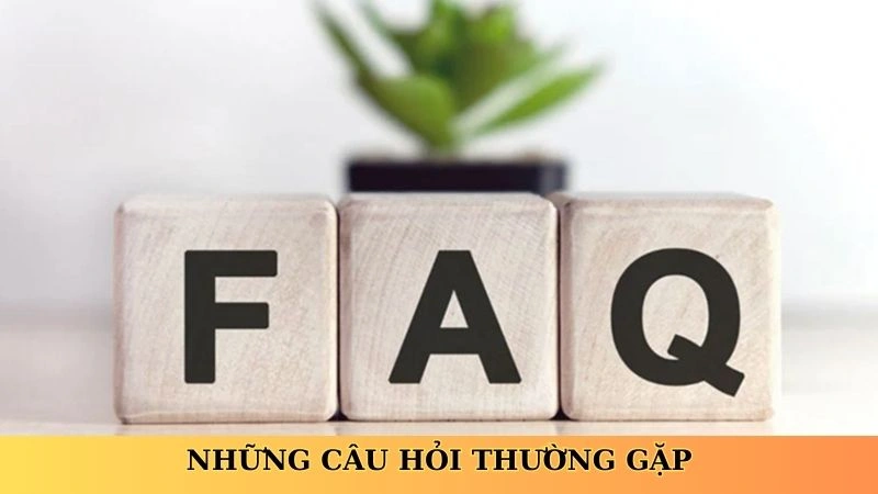 Những câu hỏi thường gặp