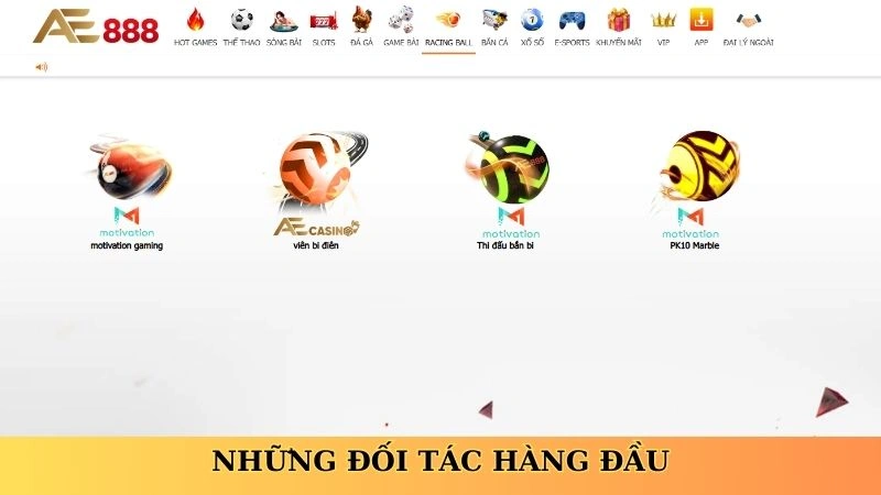 Những đối tác hàng đầu