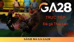 sảnh đá gà ga28