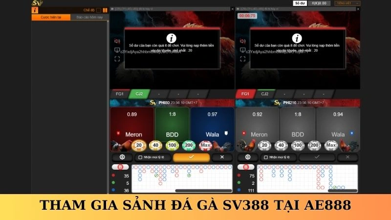 Tham gia sảnh đá gà SV388 tại AE888